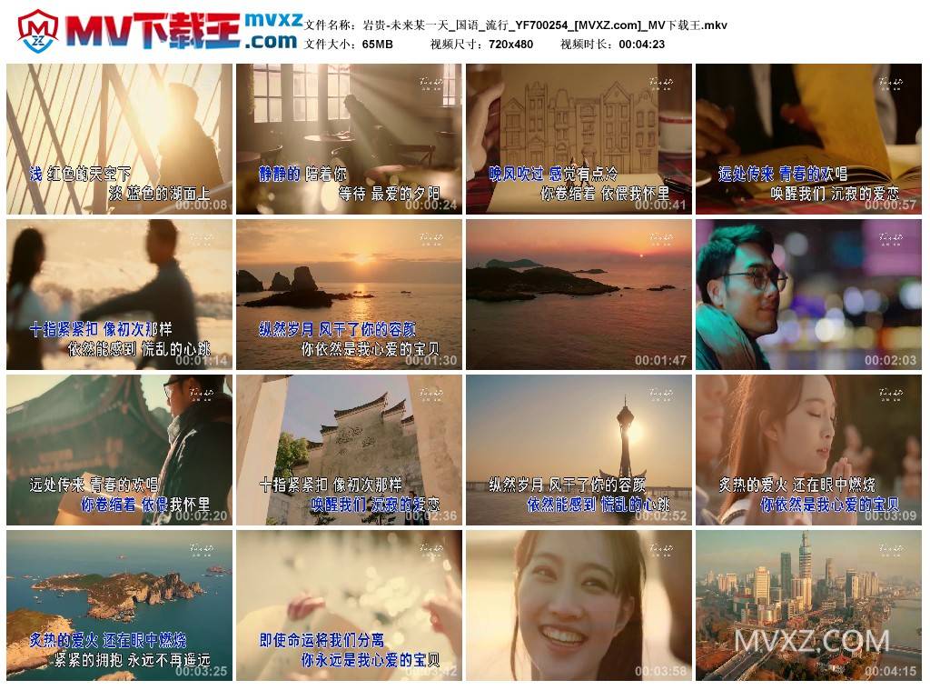 岩贵-未来某一天_国语_流行_YF700254